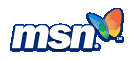 MSN search engine